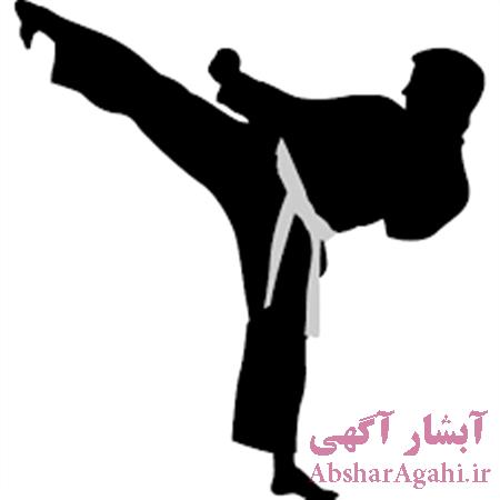دانلود نمودار یوزکیس یا use case مورد کاربرد سیستم باشگاه کاراته